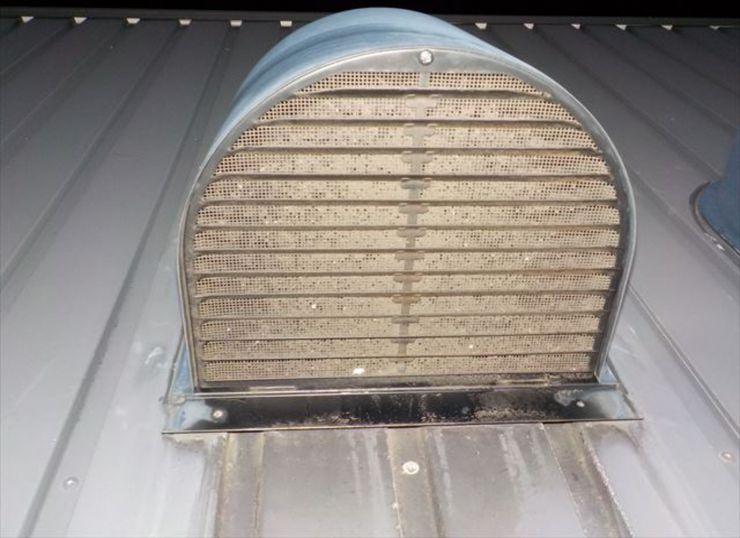 屋上排気ファン清掃前