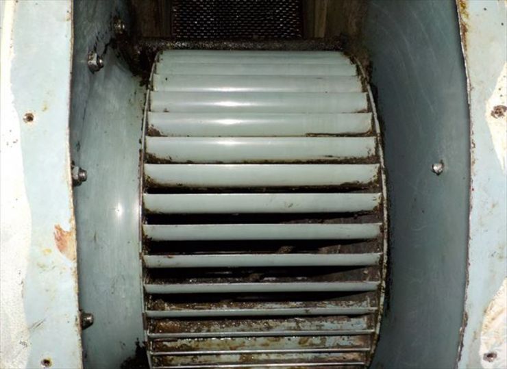 排気ファン清掃後